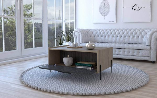 storage coffee table